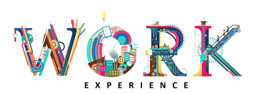 Work Experience