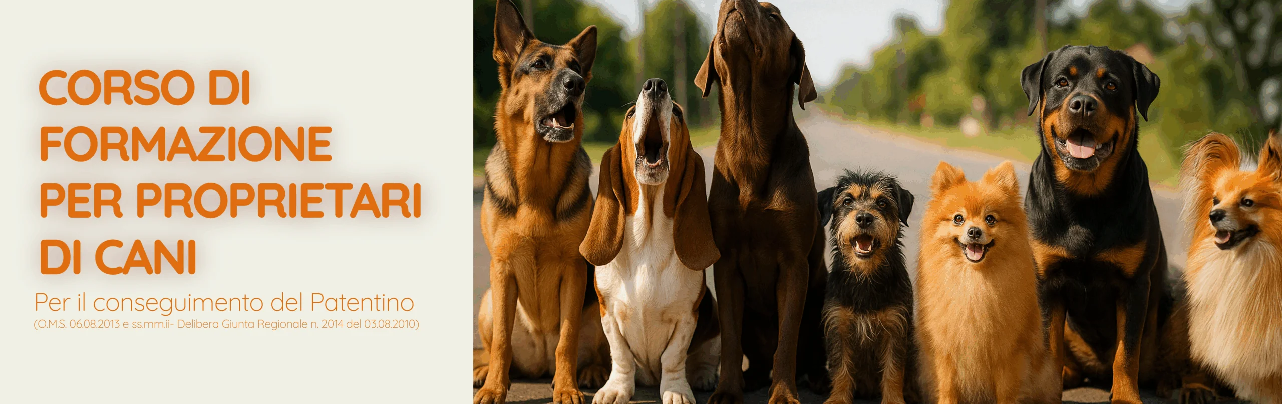 Corso di formazione per proprietari di cani e per l’acquisizione del patentino
